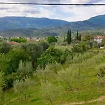 Olive View In Pelion Platanidia