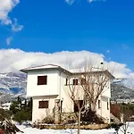 Olive View In Pelion Platanidia