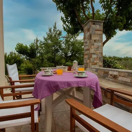 Holiday home Olive View In Pelion *