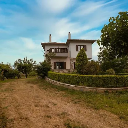 Olive View In Pelion