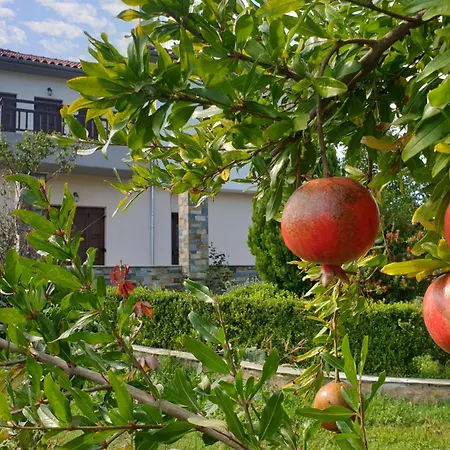 Olive View In Pelion Tatil Evi Platanidia