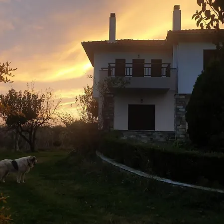 Olive View In Pelion Tatil Evi Platanidia