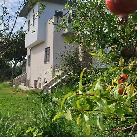 Olive View In Pelion Tatil Evi Platanidia