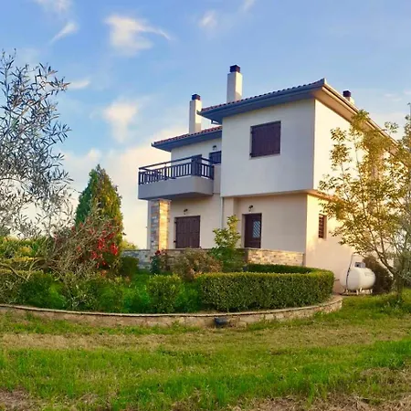 Olive View In Pelion