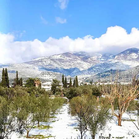펜션 Olive View In Pelion