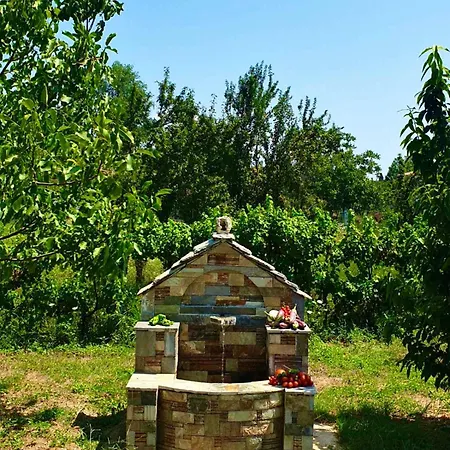 Olive View In Pelion