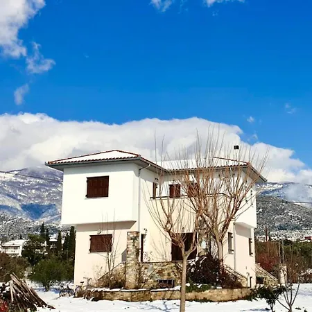 Olive View In Pelion Platanidia