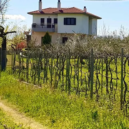 Feriehus Olive View In Pelion