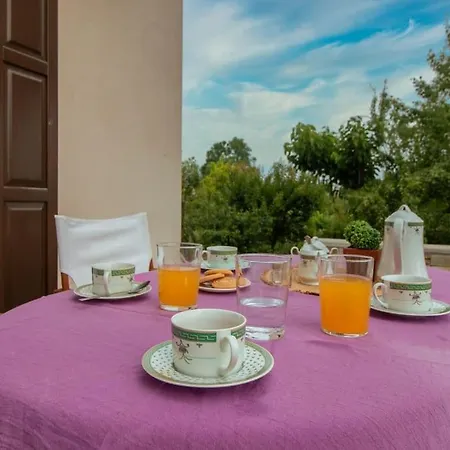 Olive View In Pelion *