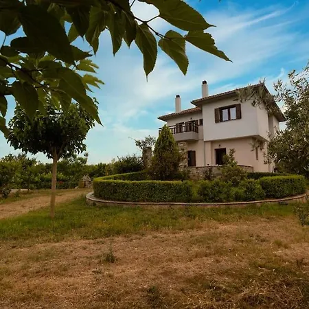 Olive View In Pelion * Platanidia
