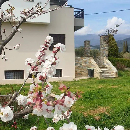 Olive View In Pelion Platanidia