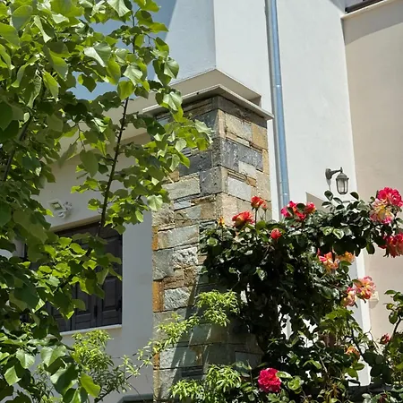 Olive View In Pelion 펜션 Platanidia