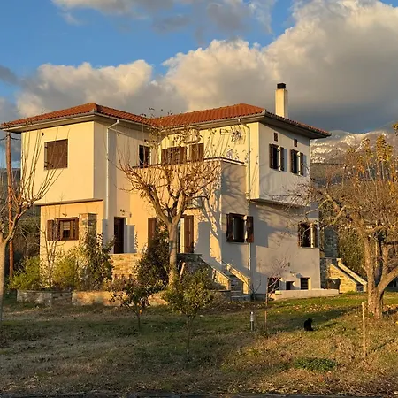 Olive View In Pelion Platanidia