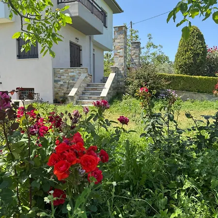 Olive View In Pelion * Platanidia