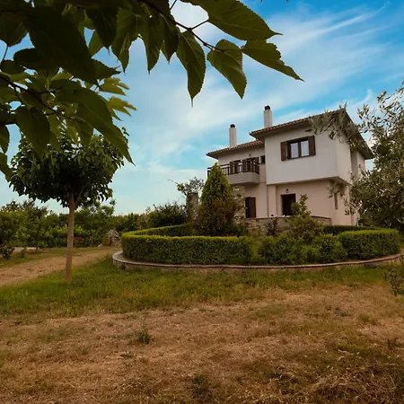 Olive View In Pelion *