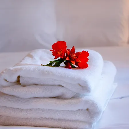 Olive View In Pelion Platanidia