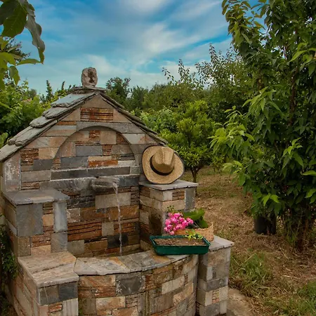 Olive View In Pelion 펜션 Platanidia