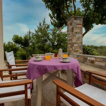 Olive View In Pelion * Platanidia