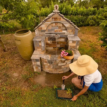 Olive View In Pelion Holiday home *