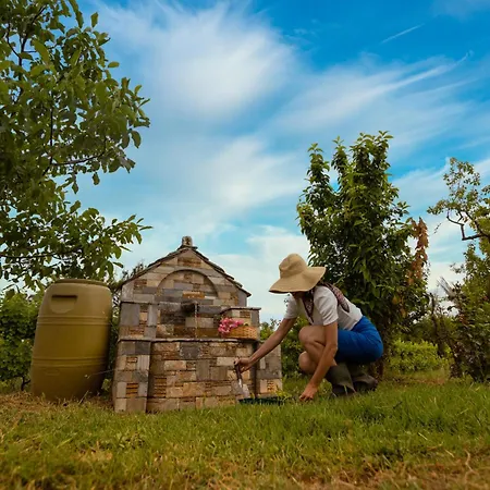 펜션 Olive View In Pelion