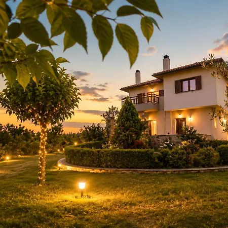 Tatil Evi Olive View In Pelion Platanidia