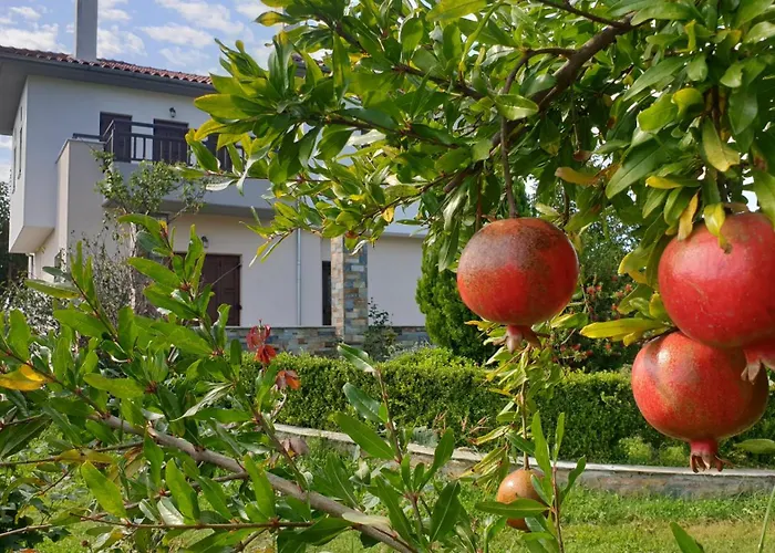 Olive View In Pelion Prázdninový dům Platanidia