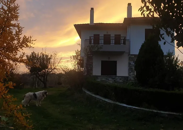 Olive View In Pelion Prázdninový dům Platanidia