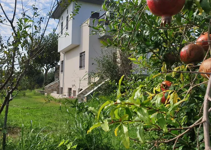 Olive View In Pelion Prázdninový dům Platanidia
