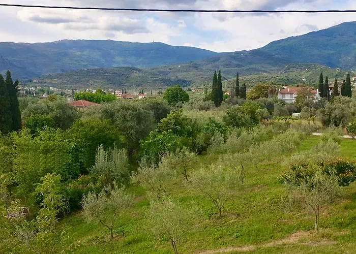Olive View In Pelion Platanidia