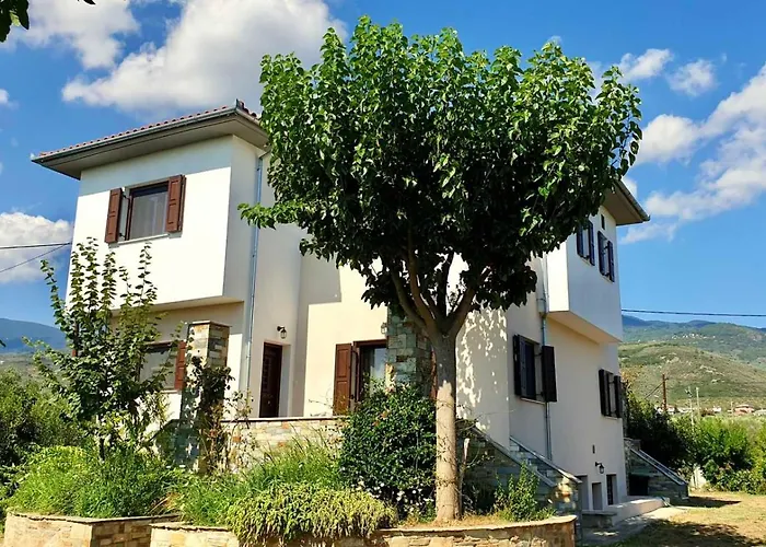 Prázdninový dům Olive View In Pelion *