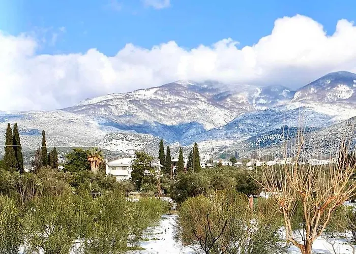 Prázdninový dům Olive View In Pelion