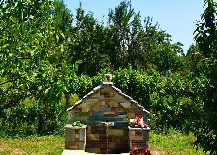 Olive View In Pelion