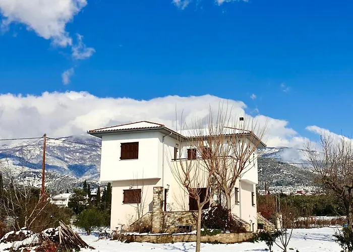 Olive View In Pelion Platanidia