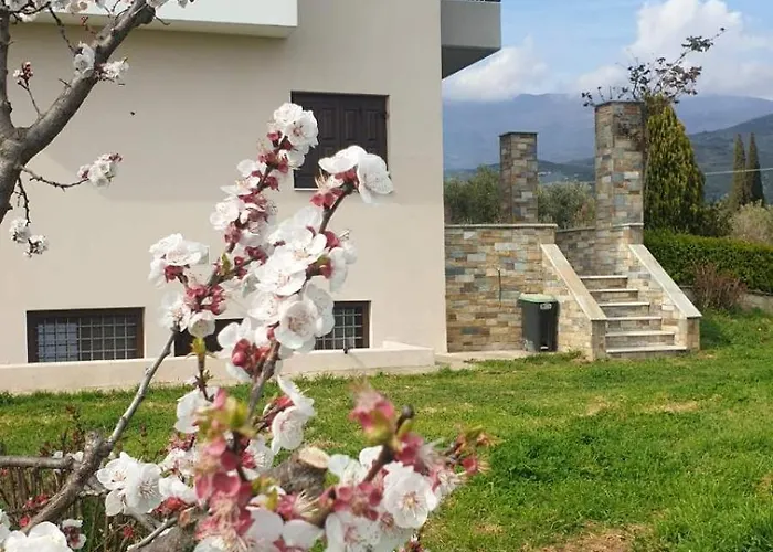 Olive View In Pelion Platanidia