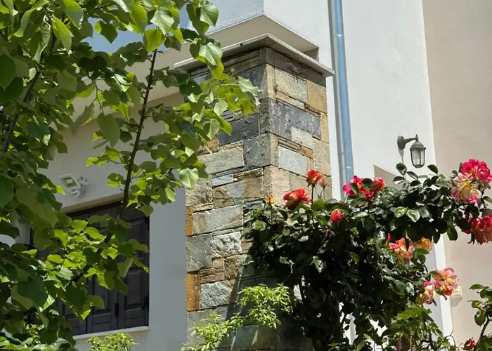 Olive View In Pelion Platanidia