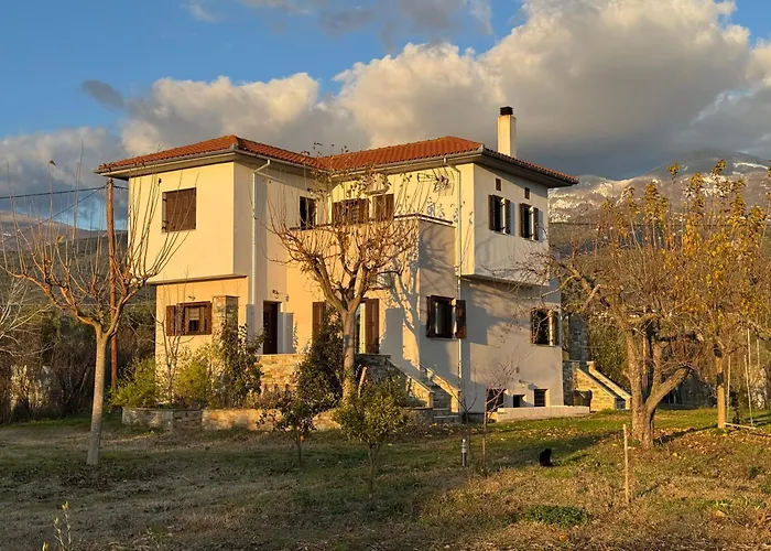 Olive View In Pelion Platanidia
