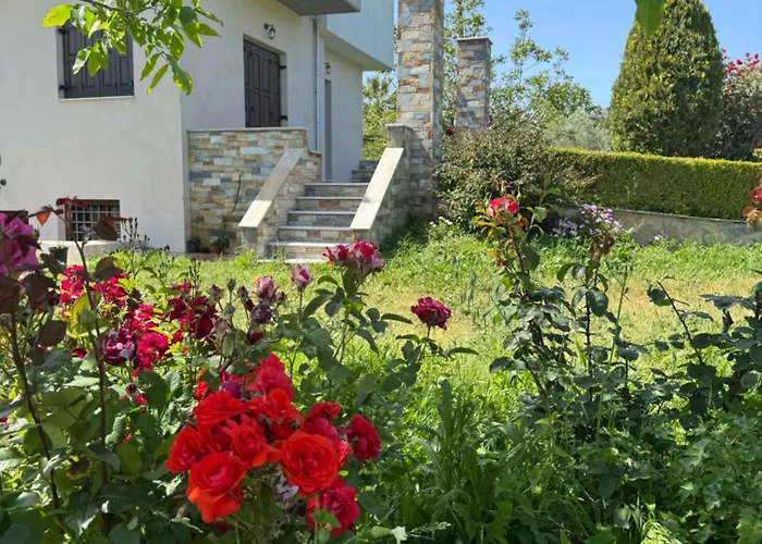 Olive View In Pelion * Platanidia