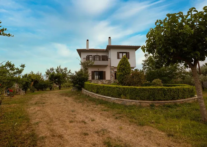 Olive View In Pelion * Platanidia