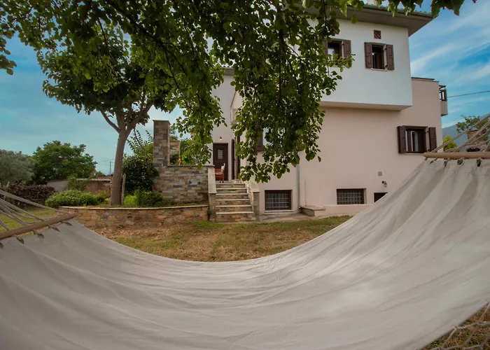 Olive View In Pelion