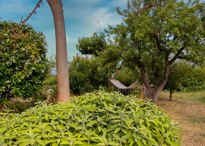 Olive View In Pelion Prázdninový dům *