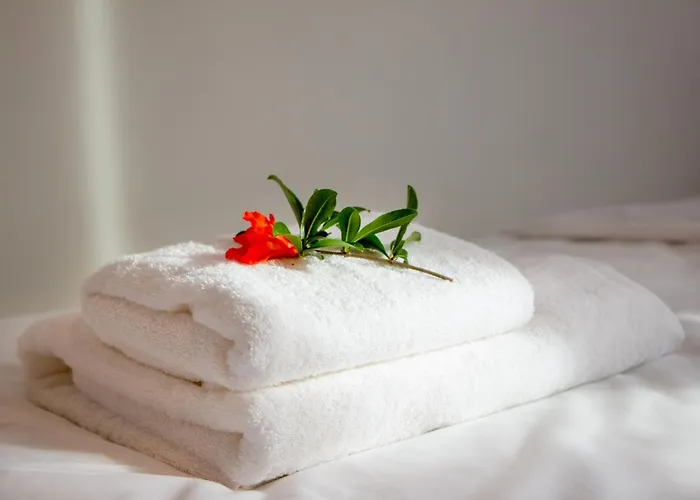 Olive View In Pelion Prázdninový dům Platanidia