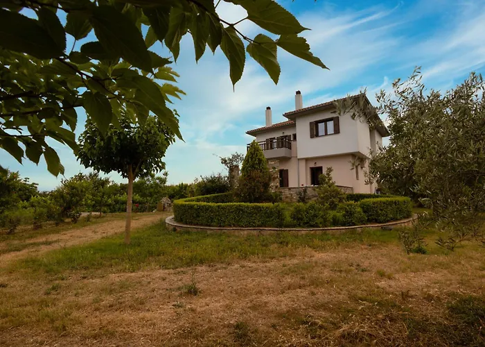 Olive View In Pelion *
