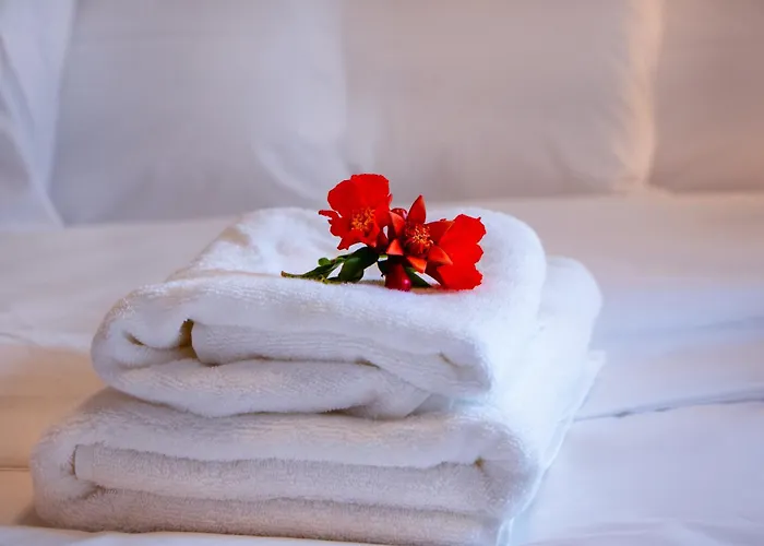 Olive View In Pelion Platanidia