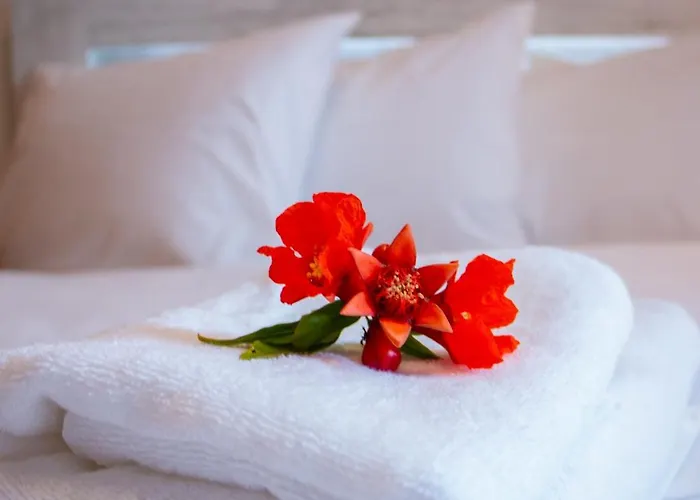 Prázdninový dům Olive View In Pelion *