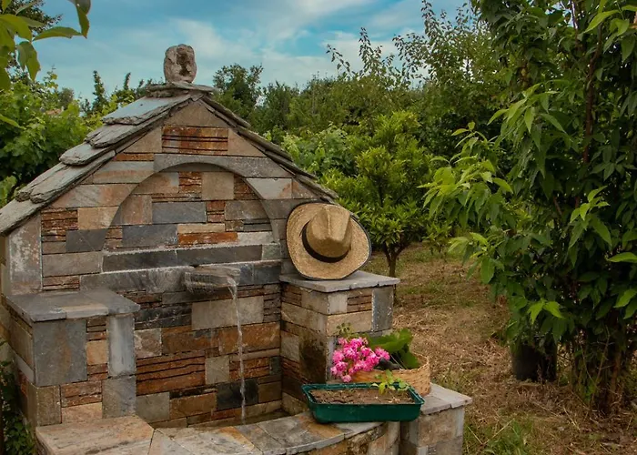 Olive View In Pelion Prázdninový dům Platanidia