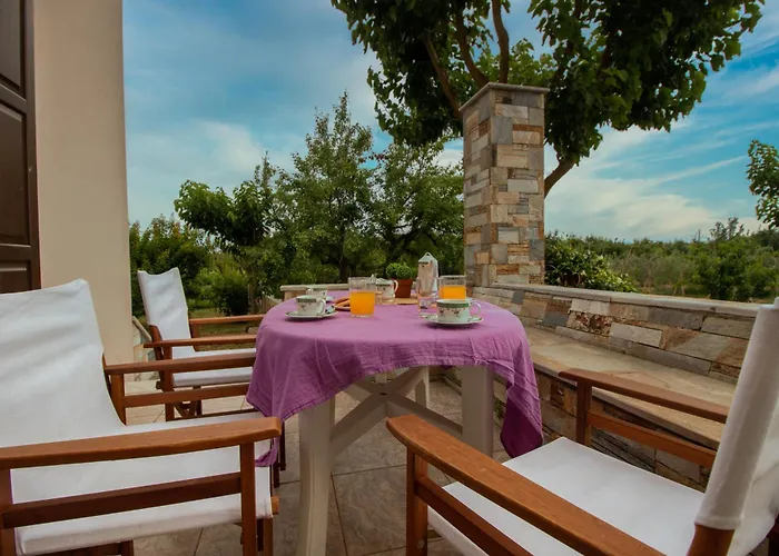 Olive View In Pelion * Platanidia