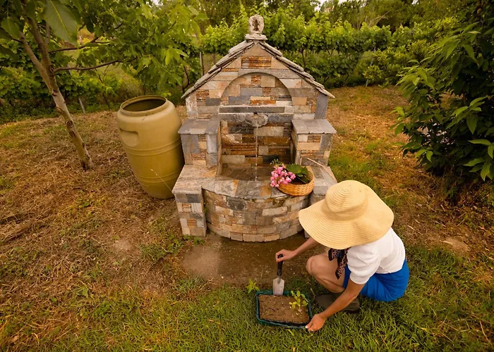 Olive View In Pelion Prázdninový dům *