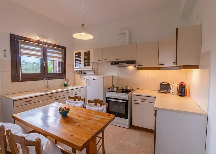 Olive View In Pelion Prázdninový dům Platanidia