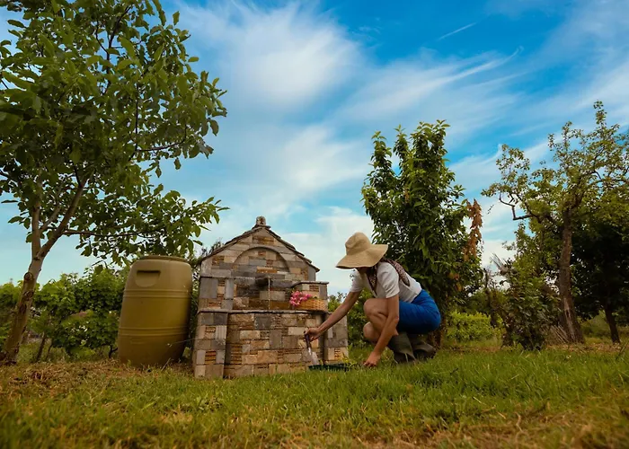 Prázdninový dům Olive View In Pelion